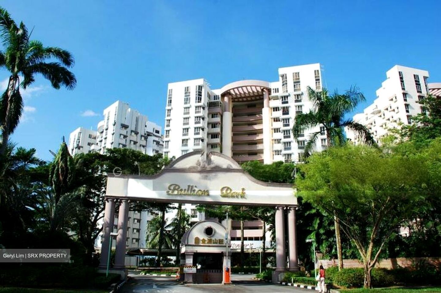 Bullion Park (D26), Condominium #506643461
